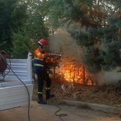Incendi boschivi, 250 interventi in tutto il territorio