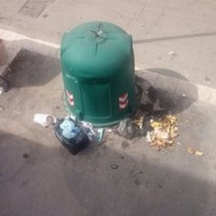 Via Toscanini tra rifiuti, sporcizia e ratti