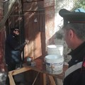 Sicurezza nelle campagne: il plauso all'Arma dei Carabinieri da parte di Coldiretti
