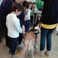 Progetto  "Cuccioli amori " presso la Scuola primaria  "G. Verdi "