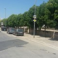 Potatura alberi: divieti al traffico in via Milite Ignoto