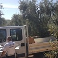 Autocarri rubati recuperati in contrada Torricciola