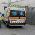 Sanità, Marmo (FI): "Contrario ad nuova Azienda Regionale dell'Emergenza Urgenza "