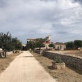 Una ipotesi di vacanza ai tempi del covid 19: nelle fattorie ed agriturismi pugliesi
