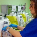 Donazioni di sangue: la città di Andria campione di generosità