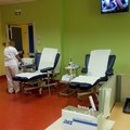 Dalla donazione alla trasfusione: il lungo viaggio di una sacca di sangue