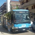 Garantiti anche per il periodo estivo i collegamenti tra Spinazzola-Minervino-Bari