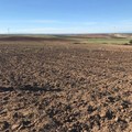 All'Ita di Andria l'agricoltura del terzo millennio