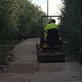 Sistemazione strade comunali di campagna