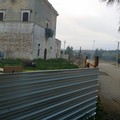 Borgata di Troianelli: un luogo da tutelare con la masseria ducale e la quercia secolare