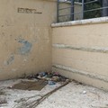 Villa comunale, la denuncia del Pd di Andria:  "Un polmone verde irriconoscibile "