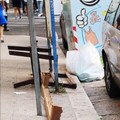Una panca a pochi passi dal salotto buono della città, sporcaccioni a "km 0 "