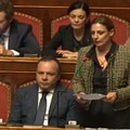 Sen. Piarulli (M5S): «Sbloccare le assunzioni assicurando il turn-over nella P.A.»