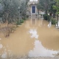 Maltempo ad Andria: campagne e case allagate nei pressi della tangenziale