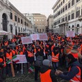 Per il decreto gelate e Xylella arriva la firma del presidente Mattarella