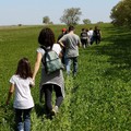  "Lo sport si fa strada ", al via le domande per l'avviso pubblico