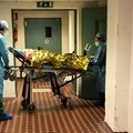Coronavirus, un nuovo caso di contagio nella Bat