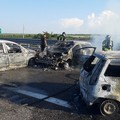 Sicurezza, Gioia (FSP Polizia di Stato): "Bene nuovi rinforzi ma attendiamo leggi e pene esemplari contro i commando dei portavalori "