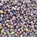 Estate: cresce il consumo di frutta fresca, alleata naturale contro il caldo