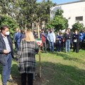 L'ITIS "Jannuzzi " commemora Antonio, Francesco e Gabriele, scomparsi nel tragico incidente ferroviario del 2016