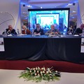 "Salvare l'olivicoltura dalla distruzione ": oltre 500 partecipanti al dibattito pubblico ad Andria