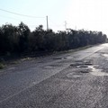 Barchetta (FdI): «Strade extraurbane e provinciali dissestate. Ma la provincia Bat dov'è?»