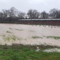 Trentuno eventi estremi in Puglia durante l'autunno