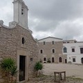Incursione nella notte di alcuni lupi alla masseria San Vittore: sbranate quattro capre