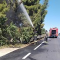 Principio di incendio sulla tangenziale di Andria: l'intervento dei Vigili del Fuoco