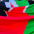 "La rosa di Gaza ", un libro per continuare a parlare di Palestina