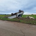 Si ribalta sulla provinciale tra Andria e Bisceglie, sul posto la Polizia locale