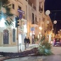 Palma giù in pieno centro, è accaduto in serata a Porta Castello