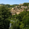Fidelis Andria: ritiro pre campionato fissato dal 31 luglio al 13 agosto