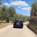 Catturato latitante, si nascondeva in una villa con piscina. Operazione dei Carabinieri