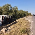 Incidente sulla provinciale 2, tre i mezzi coinvolti e altrettanti i feriti