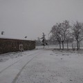 Emergenza neve: in campo i Federiciani