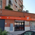 Il Gruppo Megamark apre ad Andria Joe Zampetti, il quarto punto vendita in Puglia dedicato al pet care