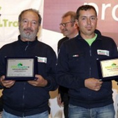 Ediltrophy 2015: i "muratori " dell'anno sono andriesi