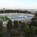 Tribuna stadio comunale: le puntualizzazioni dell'architetto Nicolamarino