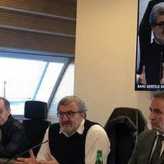 Task force per la Xylella: al lavoro 46 ricercatori italiani in Puglia