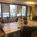 Presentato il piano "Salva Ulivi " contro la xylella. Il parassita si dirige verso Bari e la Basilicata