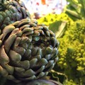 Ad Andria i fruttivendoli virtuosi avranno il marchio  "Buoni Dentro "