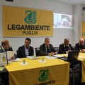 Legambiente, ecomafia: le storie e i numeri della criminalità ambientale