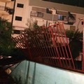 Via Martiri di Belfiore, albero cade nel cortile di una scuola