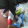 CasaPound raccoglie e distribuisce uova di Pasqua per i bambini di famiglie in difficoltà