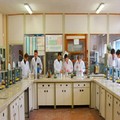 L'Istituto Tecnico Agrario "R. Lotti - Umberto I " tra le 50 scuole semifinaliste del concorso nazionale "Mad for Science "