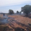Polizia Locale di Andria, prevenzione incendi: scattano gli obblighi per i proprietari di terreni
