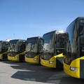 Trasporto Pubblico Locale: i chiarimenti dell’assessore alle Infrastrutture, Giannini  