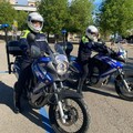 Sacchetto selvaggio e abbandono di rifiuti ad Andria, beccati altri 90 trasgressori