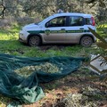 Fine settimana movimentato nelle campagne andriesi:  due operazioni delle Guardie Campestri